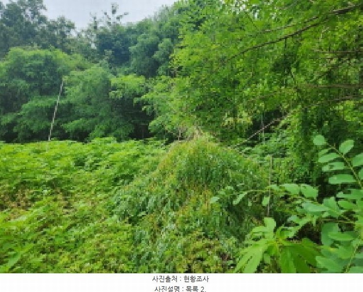 2025타경72435 경기도 양주시 은현면 하패리 408-2 농지 경매 이미지