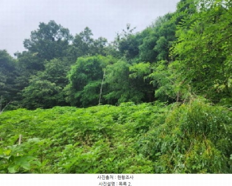 2025타경72435 경기도 양주시 은현면 하패리 408-2 농지 경매 이미지