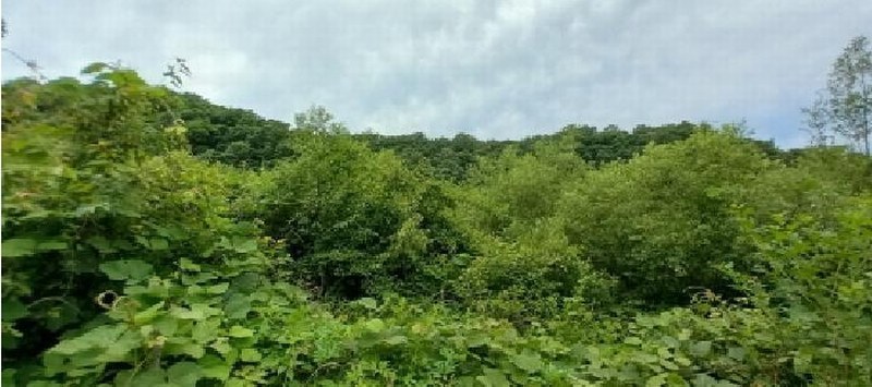 2025타경72474 경기도 연천군 신서면 답곡리 831 농지 경매 이미지