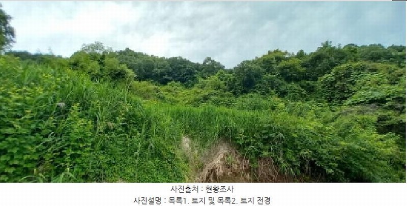 2025타경72474 경기도 연천군 신서면 답곡리 831 농지 경매 이미지
