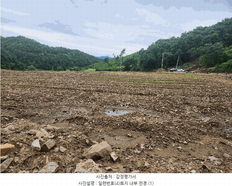 2025타경72474 경기도 연천군 신서면 답곡리 831 농지 경매 이미지