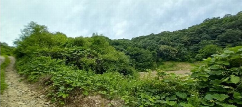 2025타경72474 경기도 연천군 신서면 답곡리 831 농지 경매 이미지