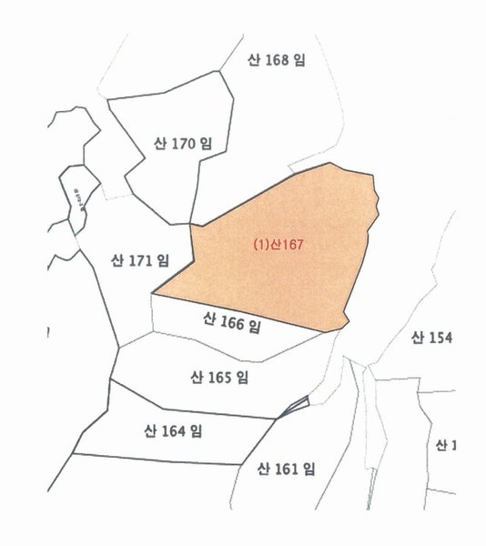 2025타경72704 경기도 포천시 영북면 대회산리 산167 임야 경매 이미지