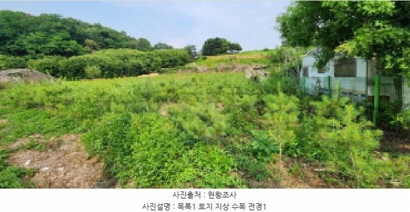 2024타경3933 경기도 양주시 광적면 효촌리 528 농지 경매 이미지