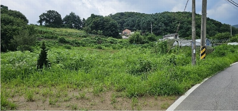 2024타경3933 경기도 양주시 광적면 효촌리 528 농지 경매 이미지