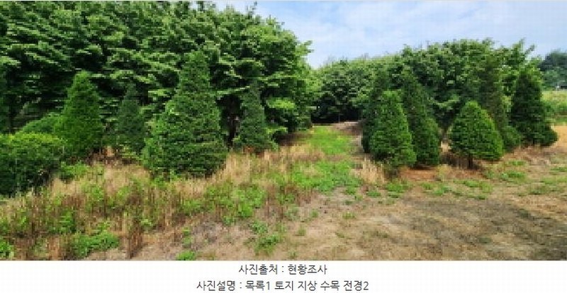 2024타경3933 경기도 양주시 광적면 효촌리 528 농지 경매 이미지