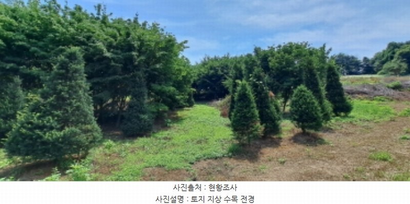 2024타경3933 경기도 양주시 광적면 효촌리 528 농지 경매 이미지