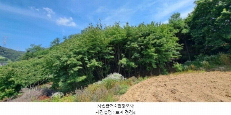 2024타경3933 경기도 양주시 광적면 효촌리 528 농지 경매 이미지