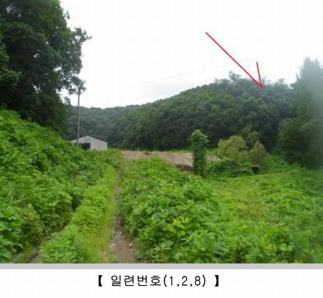 2024타경82950 경기도 연천군 군남면 황지리 60-1 농가관련시설 경매 이미지