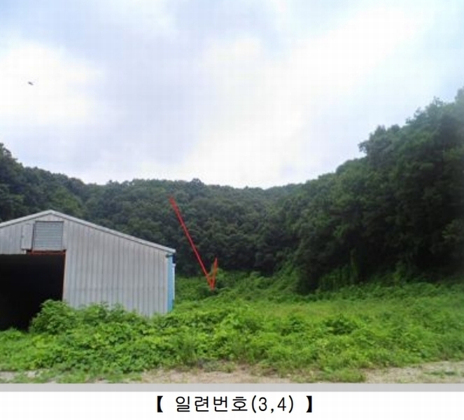 2024타경82950 경기도 연천군 군남면 황지리 60-1 농가관련시설 경매 이미지