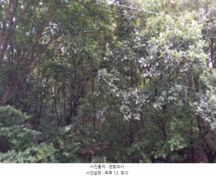 2024타경82950 경기도 연천군 군남면 황지리 60-1 농가관련시설 경매 이미지