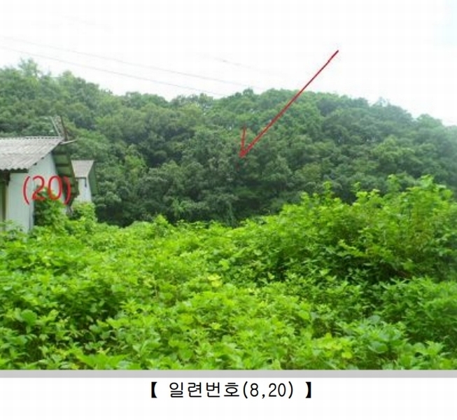 2024타경82950 경기도 연천군 군남면 황지리 60-1 농가관련시설 경매 이미지
