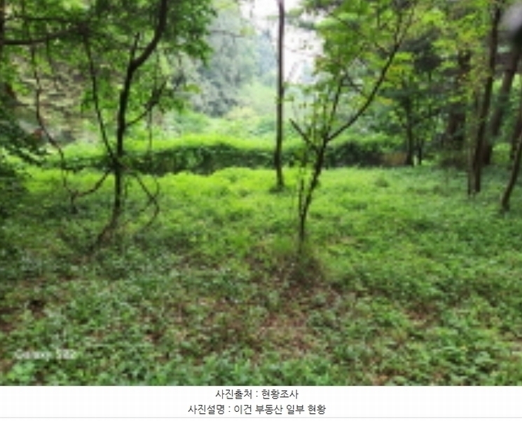 2024타경84321 경기도 의정부시 낙양동 산74-2 임야 경매 이미지