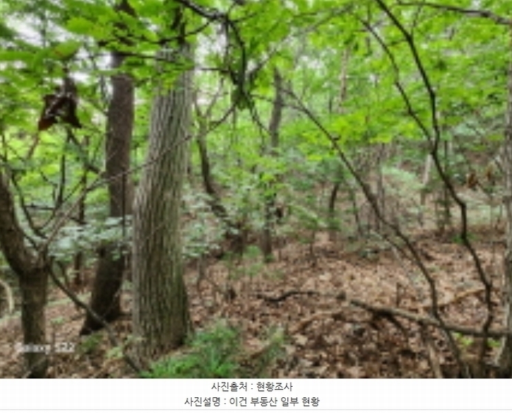 2024타경84321 경기도 의정부시 낙양동 산74-2 임야 경매 이미지