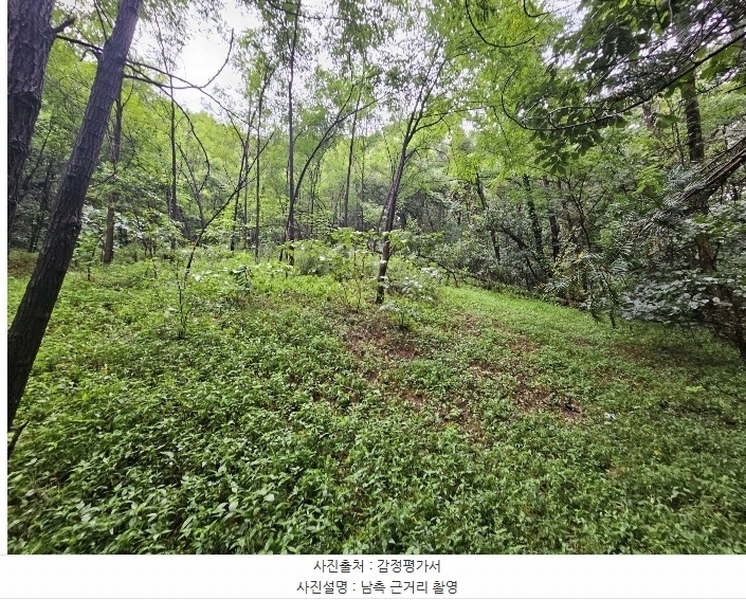 2024타경84321 경기도 의정부시 낙양동 산74-2 임야 경매 이미지