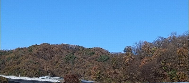 2024타경88163 경기도 연천군 신서면 답곡리 산134 임야 경매 이미지