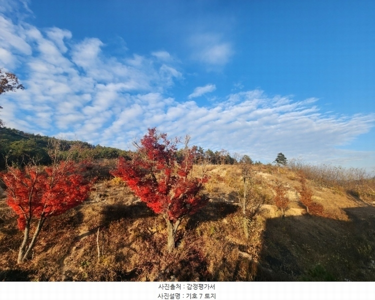 2024타경89739 경기도 양주시 마전동 38-1 근린시설 경매 이미지