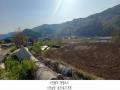 2025타경1477 경기도 연천군 전곡읍 간파리 82 농지 경매 이미지