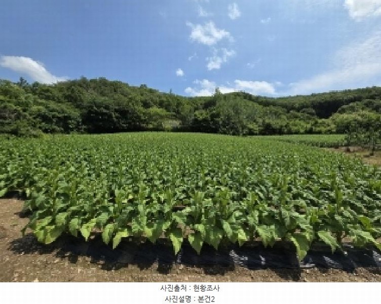 2025타경2593 충청북도 보은군 산외면 원평리 101-13 농지 경매 이미지