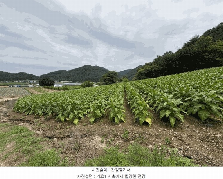 2025타경2593 충청북도 보은군 산외면 원평리 101-13 농지 경매 이미지