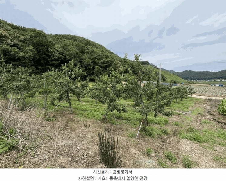 2025타경2593 충청북도 보은군 산외면 원평리 101-13 농지 경매 이미지