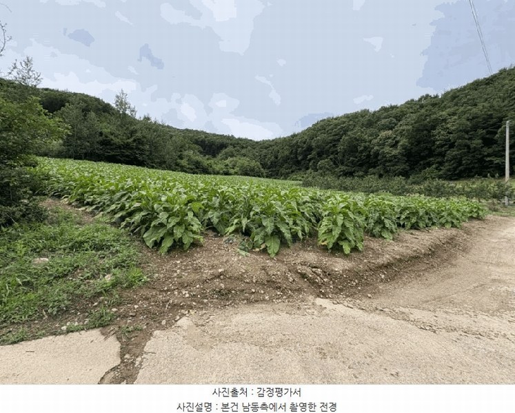 2025타경2593 충청북도 보은군 산외면 원평리 101-13 농지 경매 이미지