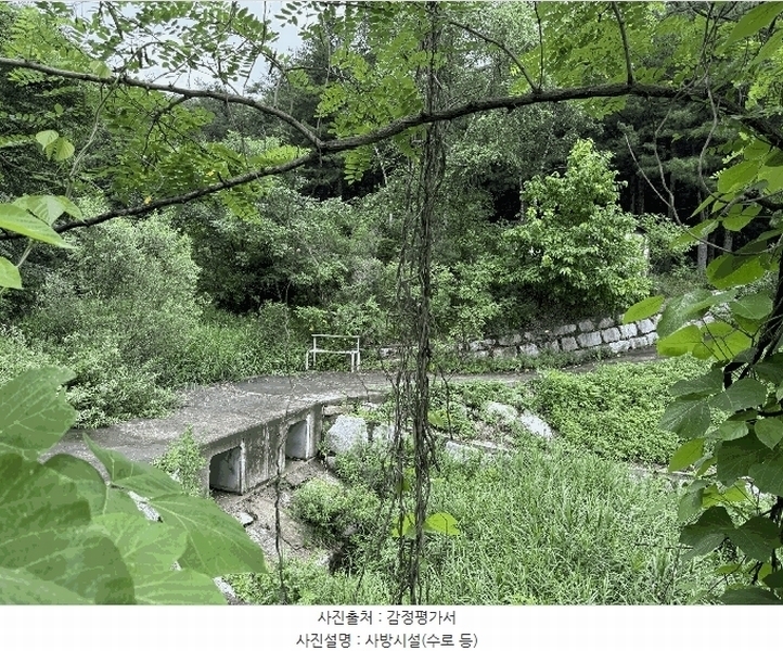 2025타경72652 강원특별자치도 철원군 서면 자등리 산194 임야 경매 이미지