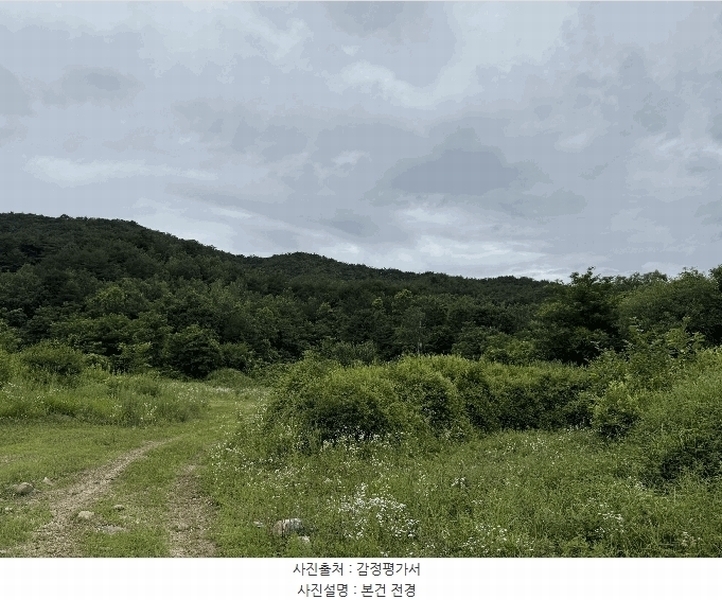 2025타경72652 강원특별자치도 철원군 서면 자등리 산194 임야 경매 이미지