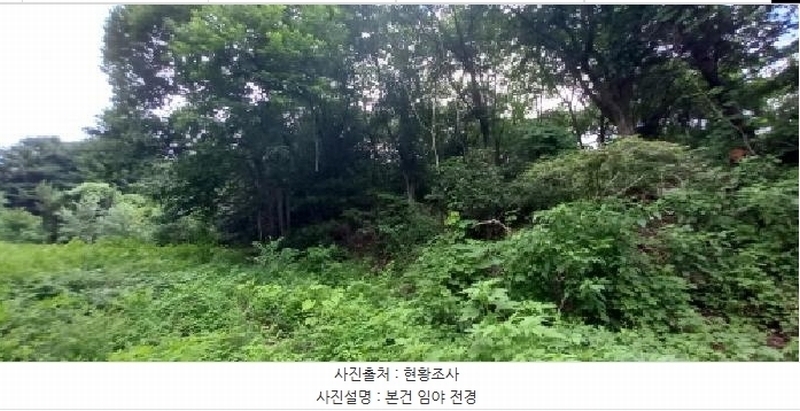 2025타경72652 강원특별자치도 철원군 서면 자등리 산194 임야 경매 이미지