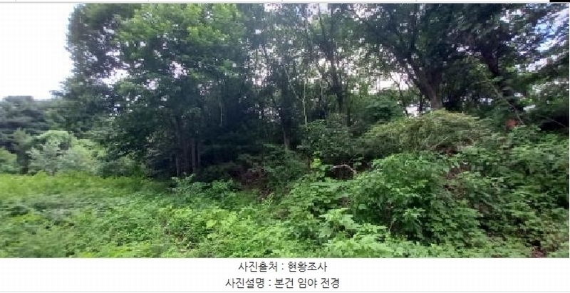 2025타경72652 강원특별자치도 철원군 서면 자등리 산194 임야 경매 이미지
