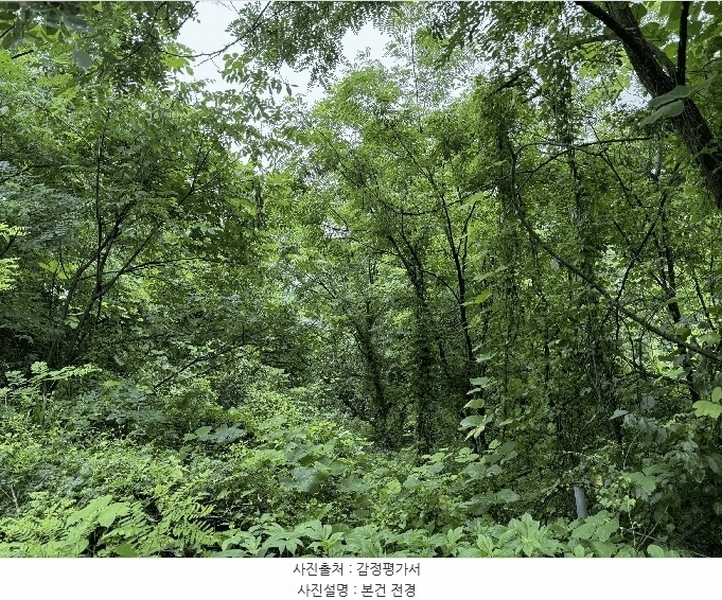 2025타경72652 강원특별자치도 철원군 서면 자등리 산194 임야 경매 이미지