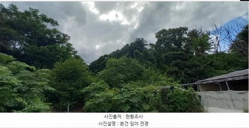 2025타경72652 강원특별자치도 철원군 서면 자등리 산194 임야 경매 이미지