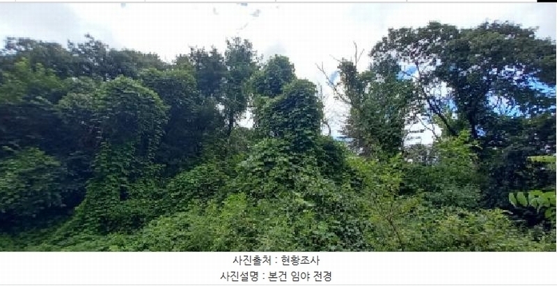 2025타경72652 강원특별자치도 철원군 서면 자등리 산194 임야 경매 이미지