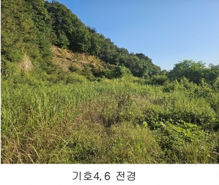 2024타경552 경기도 연천군 전곡읍 간파리 181-3 공장 경매 이미지