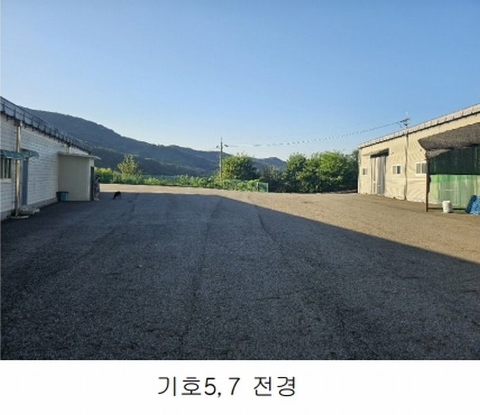 2024타경552 경기도 연천군 전곡읍 간파리 181-3 공장 경매 이미지