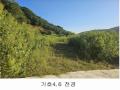2024타경552 경기도 연천군 전곡읍 간파리 181-3 공장 경매 이미지