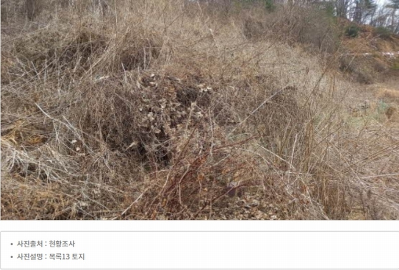 2024타경552 경기도 연천군 전곡읍 간파리 181-3 공장 경매 이미지