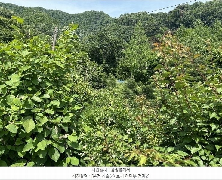 2024타경3322 경기도 포천시 영중면 금주리 10 주택 경매 이미지