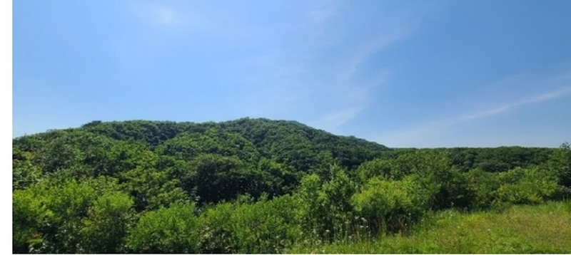 2024타경79053 강원특별자치도 철원군 원남면 진현리 산170 임야 경매 이미지