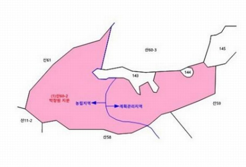 2024타경81803 경기도 양주시 은현면 선암리 산60-2 임야 경매 이미지
