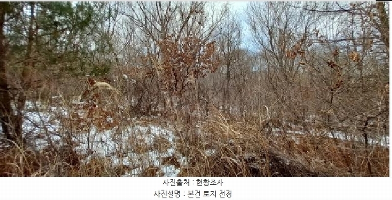 2025타경71574 강원특별자치도 철원군 근북면 유곡리 683-1 농지 경매 이미지