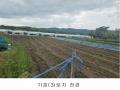 2025타경72198 경기도 양주시 남면 매곡리 62-2 농지 경매 이미지