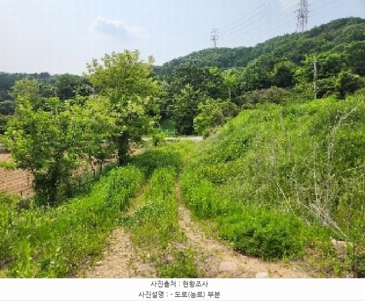 2025타경72275 경기도 양주시 은현면 봉암리 239-3 농지 경매 이미지