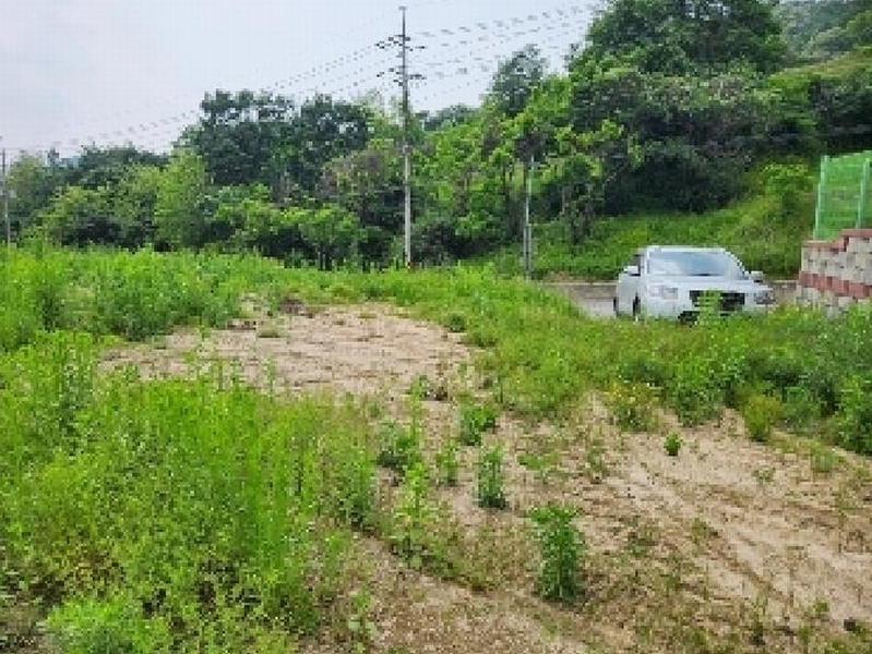 2025타경72275 경기도 양주시 은현면 봉암리 239-3 농지 경매 이미지
