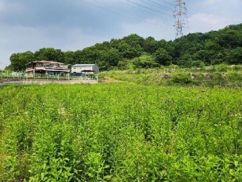 2025타경72275 경기도 양주시 은현면 봉암리 239-3 농지 경매 이미지