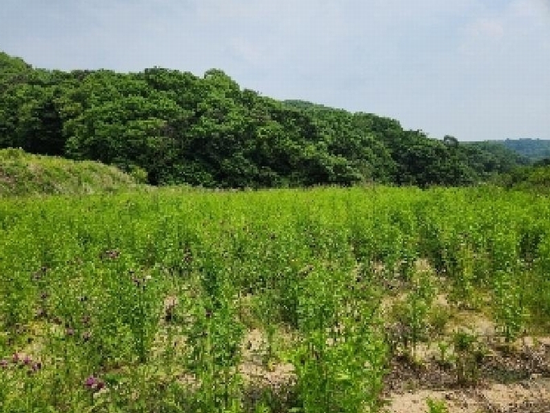 2025타경72275 경기도 양주시 은현면 봉암리 239-3 농지 경매 이미지