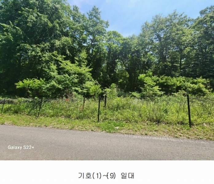 2023타경76828 강원특별자치도 철원군 근동면 방통리 산321-2 임야 경매 이미지