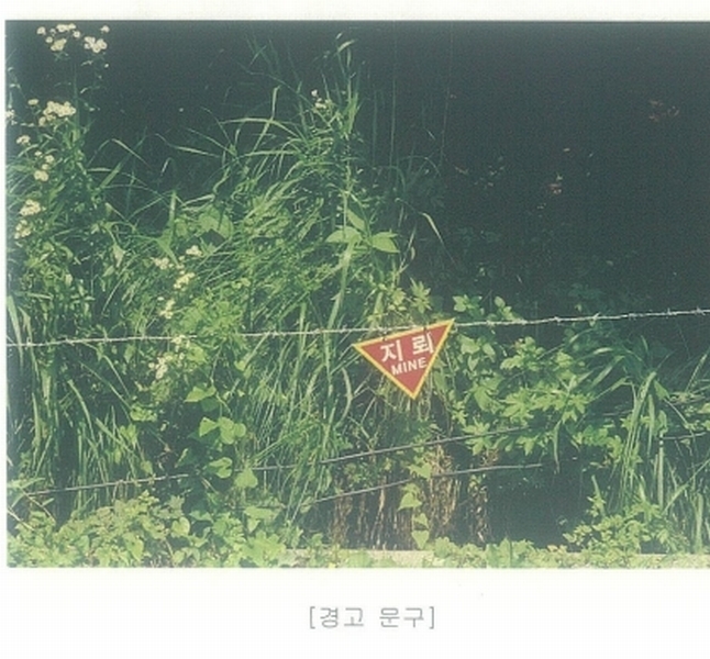 2023타경76828 강원특별자치도 철원군 근동면 방통리 산321-2 임야 경매 이미지