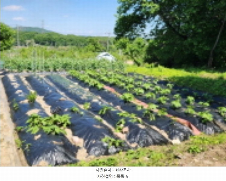 2024타경2763 경기도 양주시 어둔동 383-6 농지 경매 이미지