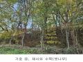2024타경2763 경기도 양주시 어둔동 383-6 농지 경매 이미지